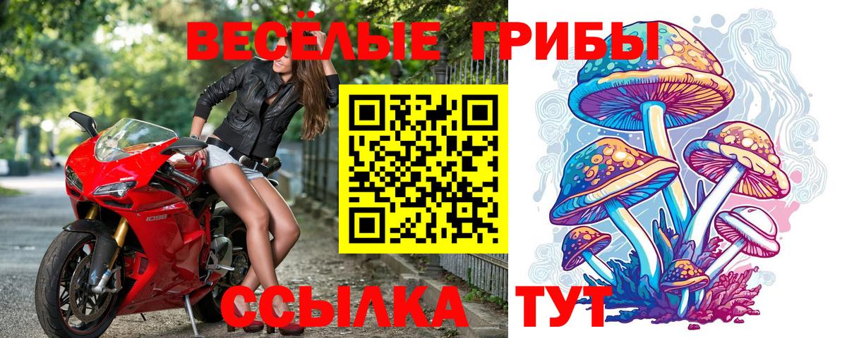 Богородицк  Галлюциногенные грибы ЛСД  где найти   Вход с VPN  Галлюциногенные грибы Psilocybe 